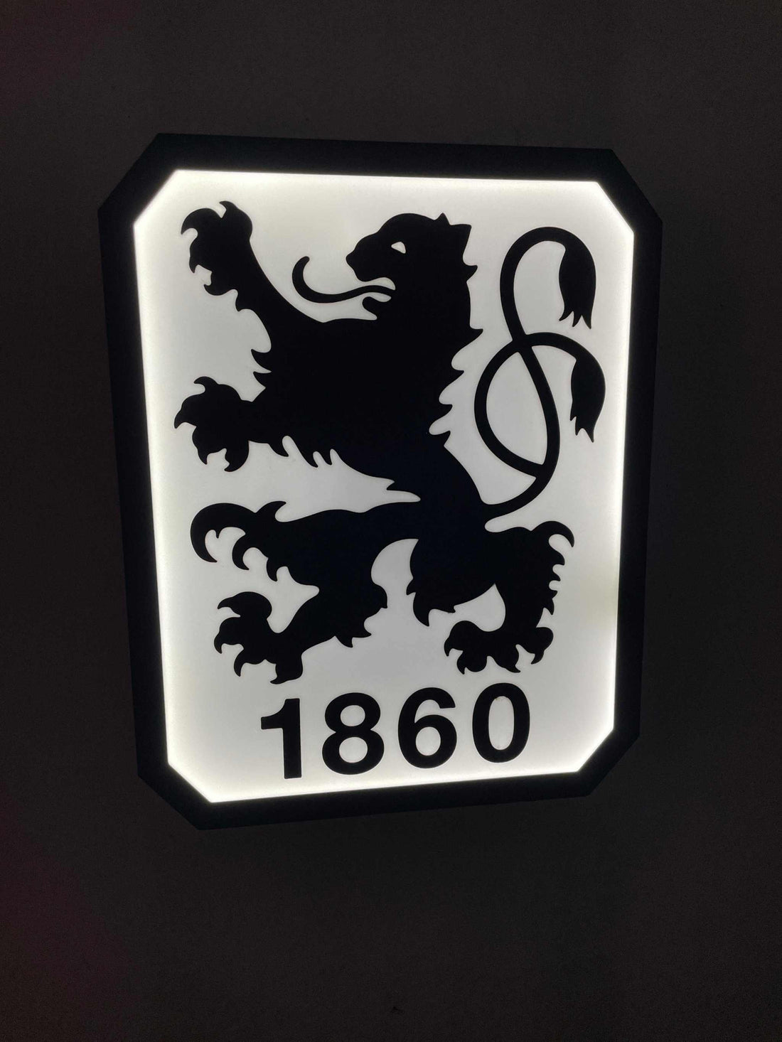 TSV 1860 Munchen