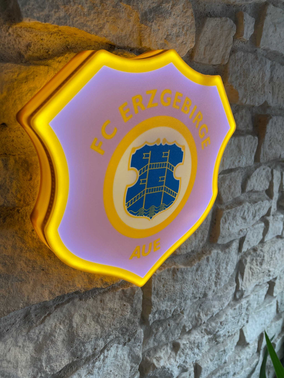 FC Erzgebirge Aue LED-Leuchtschild