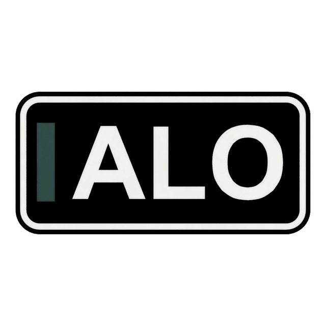 F1 Fahrer ALO LED-Leuchtschild Wanddeko Autodeko Geschenk
