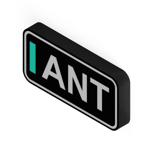 F1 Fahrer ANT LED-Leuchtschild Wanddeko Autodeko Geschenk