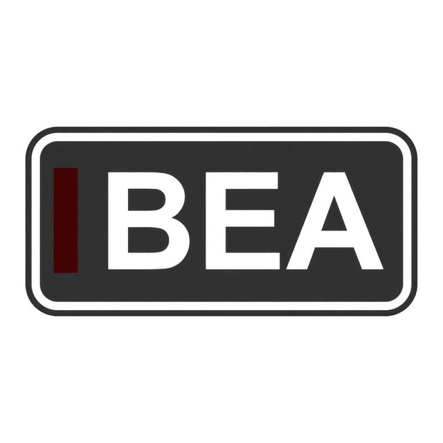 F1 Fahrer BEA LED-Leuchtschild Wanddeko Autodeko Geschenk