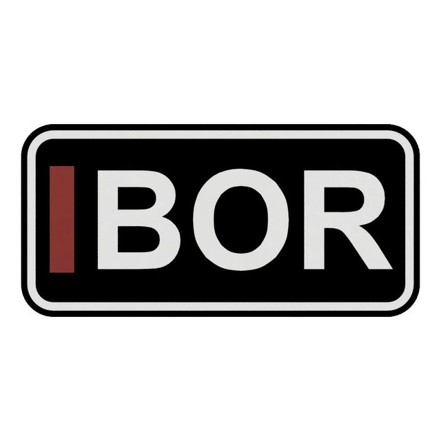 F1 Fahrer BOR LED-Leuchtschild Wanddeko Autodeko Geschenk