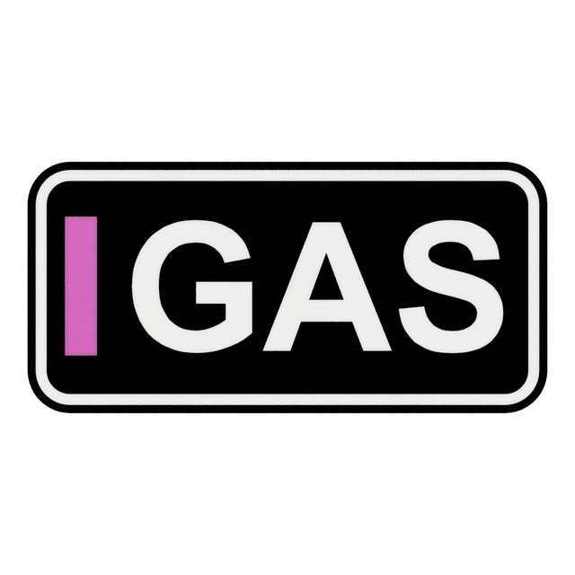 F1 Fahrer GAS LED-Leuchtschild Wanddeko Autodeko Geschenk