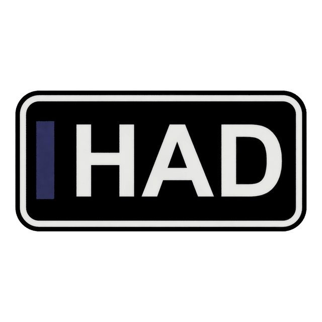 F1 Fahrer HAD LED-Leuchtschild Wanddeko Autodeko Geschenk