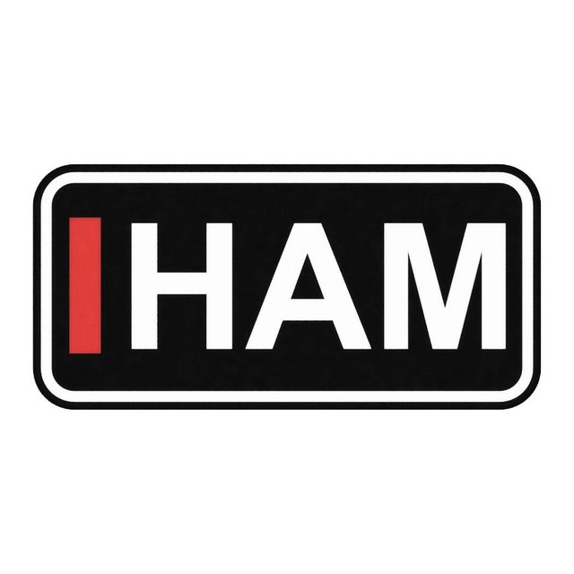F1 Fahrer HAM LED-Leuchtschild Wanddeko Autodeko Geschenk