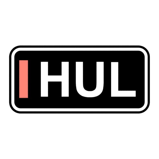 F1 Fahrer HUL LED-Leuchtschild Wanddeko Autodeko Geschenk