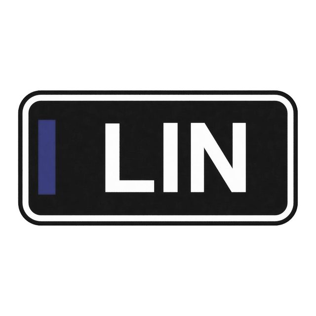 F1 Fahrer LIN LED-Leuchtschild Wanddeko Autodeko Geschenk