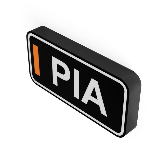 F1 Fahrer PIA LED-Leuchtschild Wanddeko Autodeko Geschenk