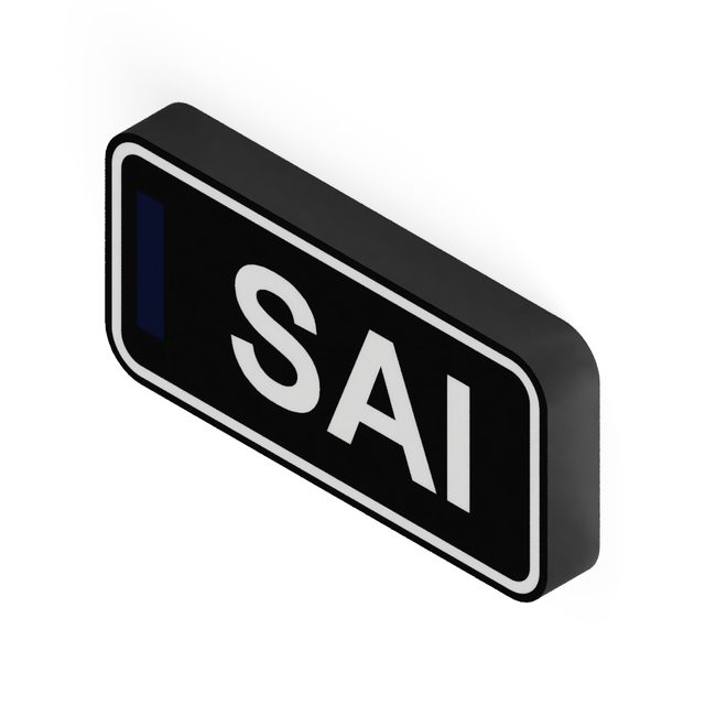F1 Fahrer SAI LED-Leuchtschild Wanddeko Autodeko Geschenk