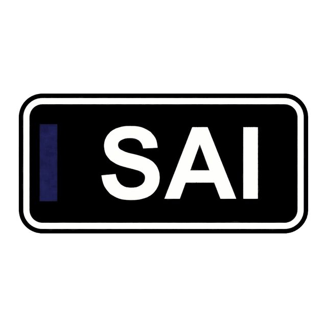 F1 Fahrer SAI LED-Leuchtschild Wanddeko Autodeko Geschenk
