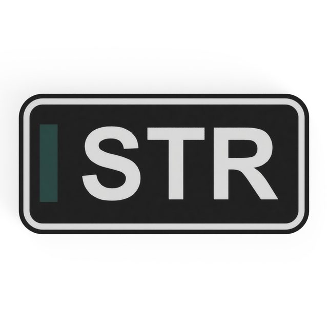 F1 Fahrer STR LED-Leuchtschild Wanddeko Autodeko Geschenk