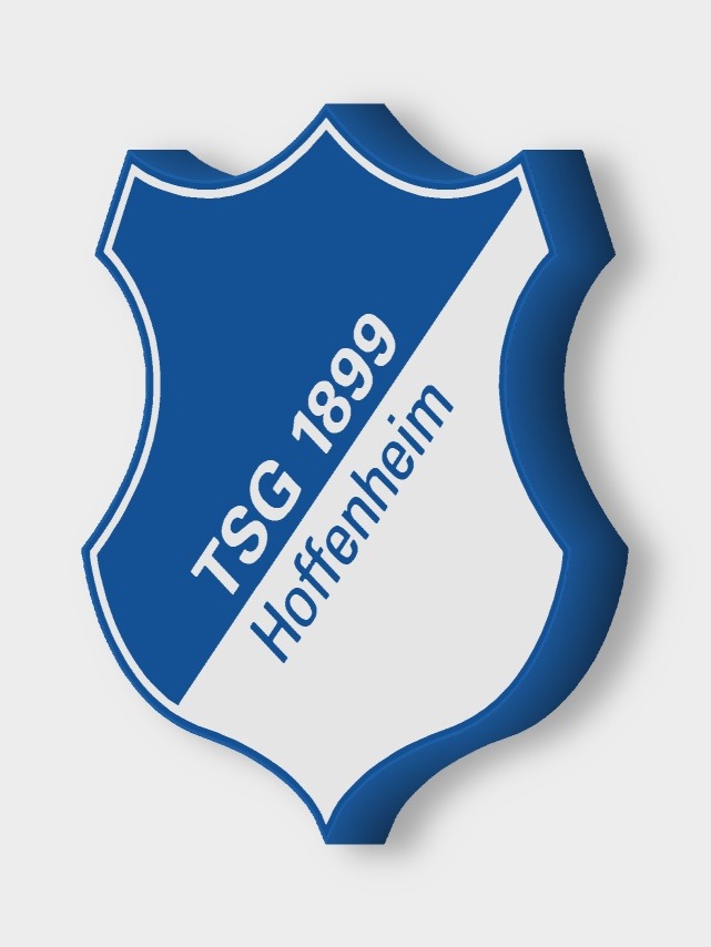 TSG 1899 Hoffenheim LED-Leuchtschild ausgeschaltet