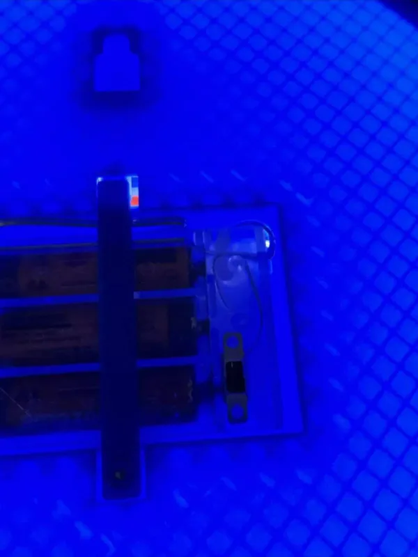 Hertha BSC Berlin LED-Leuchtschild Lampe Fandeko – Bild 5